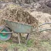 Manure, Wheelbarrow, Wheelbarrows-2168726.Jpg