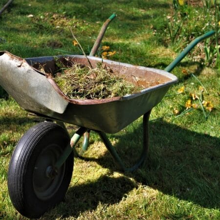 wheelbarrow, old, garden-5180048.jpg